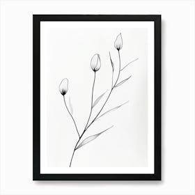 Tulips 2 Art Print