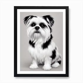 Shih Tzu B&W Pencil Dog Art Print