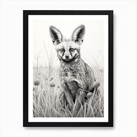 Bat Eared Fox In A Field Pencil Drawing 4 Art Print