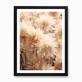 Boho Dried Flowers Asters 6 Art Print