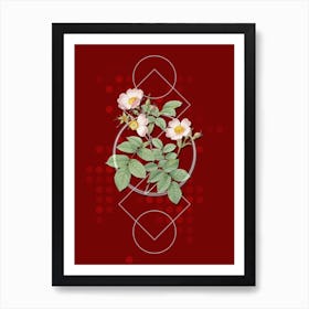 Vintage Short Styled Field Rose Botanical with Geometric Line Motif and Dot Pattern n.0031 Art Print