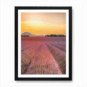Lavender Field At Sunset Art Print