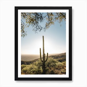 Desert Cactus Art Print