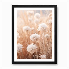 Boho Dried Flowers Asters 1 Art Print