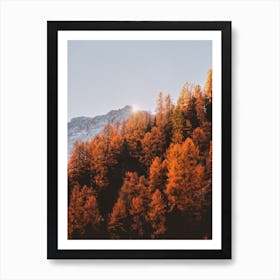 Autumn Trees In The Mountains Art Print