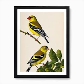American Goldfinch James Audubon Vintage Style Bird Art Print