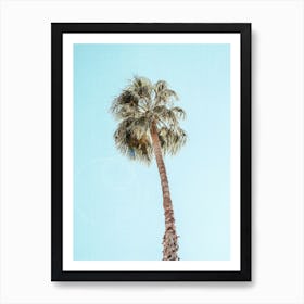 Single Palm Art Print