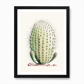 Acanthocalycium Cactus Marker Art 2 Art Print