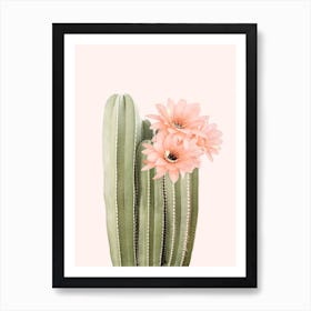 Cactus Flower Art Print