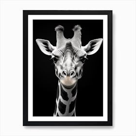 Black And White Photograph Of Giraffe Art Print