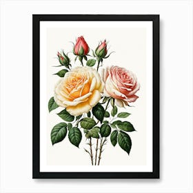 Vintage Galleria Style Rose Art Painting 18 Art Print