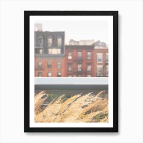 New York, USA I Nature on the High Line skyline boho bohemian, savage pampa grass with gold aesthetic photography in the city wind in front of New Yorker lofts with retro vintage brick architecture from a film Art Print