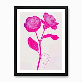 Hot Pink Camellia 1 Art Print