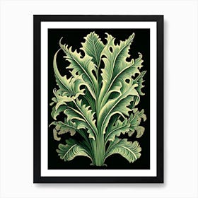 Staghorn Fern 1 Vintage Botanical Poster Art Print