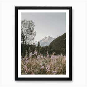 Mountain Flower Meadow Art Print