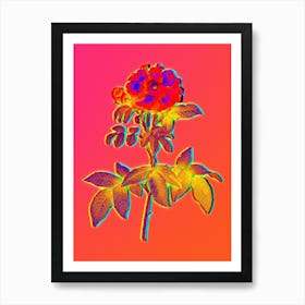 Neon Provins Rose Botanical in Hot Pink and Electric Blue n.0158 Art Print