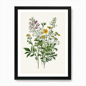 Vintage Botanical Galleria Style Wildflower Painting 38 Art Print