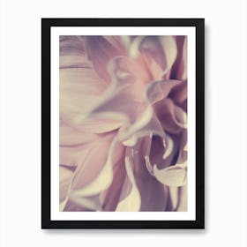 Pink Blossom Art Print