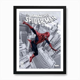 Amazing Spider - Man Film Movie Affiche