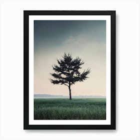 Lone Tree In A Field 1 Art Print