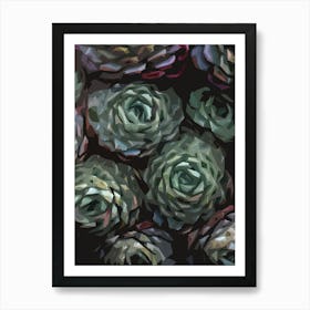 Succulent Plant Ii Art Print