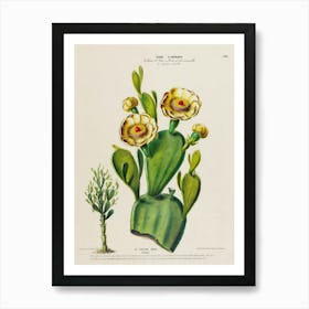 Cactus 4 Art Print