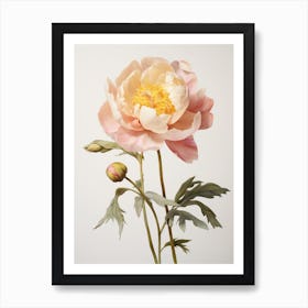 Pressed Flower Botanical Art Peony 1 Art Print