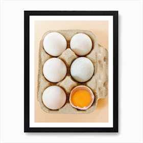 Eggs In A Carton 10 Art Print