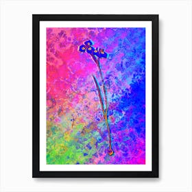 Vieusseuxia Glaucopis Botanical in Acid Neon Pink Green and Blue n.0087 Art Print