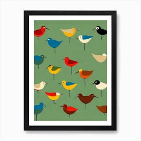 Dunlin 2 Midcentury Illustration Bird Art Print