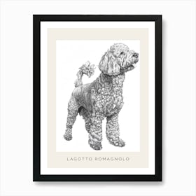 Lagotto Romagnolo Dog Line Sketch 2 Poster Art Print