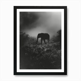 Elephant In The Fog Art Print