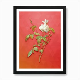 Vintage White Bengal Rose Botanical Art on Fiery Red n.0897 Art Print