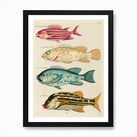 Colourful And Surreal Illustrations Of Fishes Found In Moluccas (Indonesia) And The East Indies, Louis Renard(20) Art Print