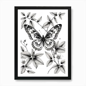 Butterfly On A Branch Art Print