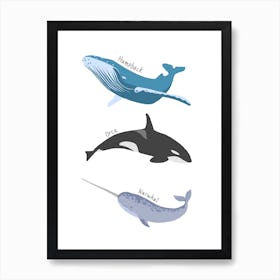 Whales Art Print