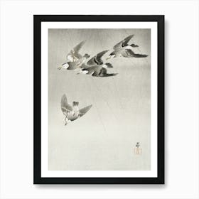 Starlings In The Rain (1900 1930), Ohara Koson Art Print
