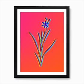Neon Ixia Anemonae Flora Botanical in Hot Pink and Electric Blue n.0153 Art Print