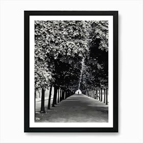 Pathway Through the Trees in Paris. This image depicts a serene, tree-lined pathway with dense foliage overhead, creating a tunnel-like effect. The pathway is flanked by tall trees on both sides, leading to a distant, solitary figure walking towards the horizon. The monochromatic color scheme adds a timeless, contemplative atmosphere to the scene. Art Print