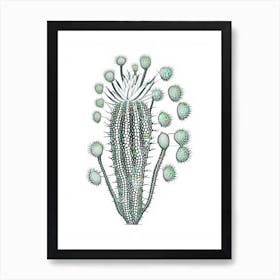 Rhipsalis Cactus William Morris Inspired 2 Art Print
