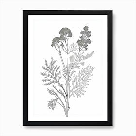 Coriander Herb William Morris Inspired Line Drawing 1 Art Print