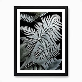 Silver Cloak Fern Vibrant Art Print