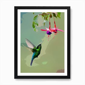 Humming Bird Art Print