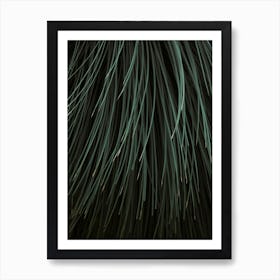 Natures Stripes Art Print