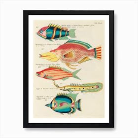 Colourful And Surreal Illustrations Of Fishes Found In Moluccas (Indonesia) And The East Indies, Louis Renard(11) Art Print