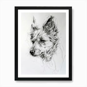 Icelandic Sheepdog Line Art 1 Art Print