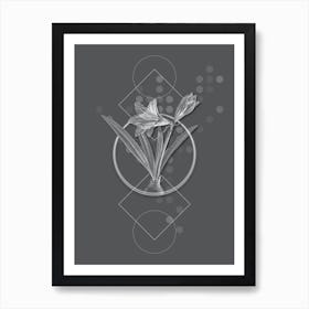 Vintage Hippeastrum Botanical with Line Motif and Dot Pattern in Ghost Gray Art Print