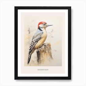 Vintage Bird Drawing Woodpecker 3 Poster Art Print