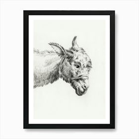 Head Of A Donkey, Jean Bernard Art Print