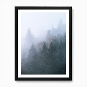 Foggy Forest 1 Art Print